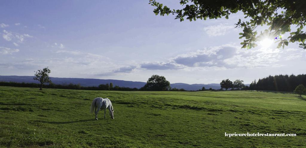 Domaine Le Prieure Hotel Chaumont-le-Bourg Buitenkant foto